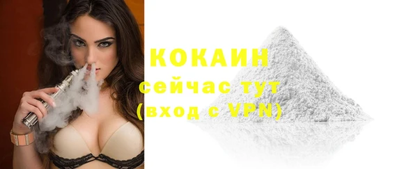 спайс Горняк
