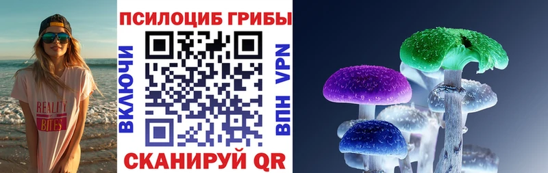 Купить  Кропоткин  Галлюциногенные грибы Psilocybine cubensis 